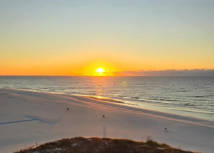 Footprints In The Gulf Shores